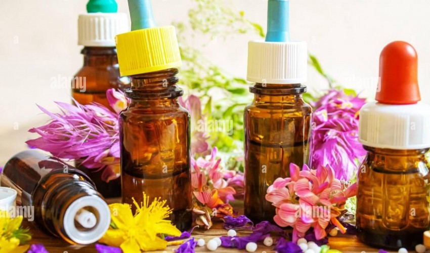 Se actualiza la categoría Homeopatía del DeCS